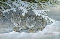 雪の中の虎の赤ちゃん